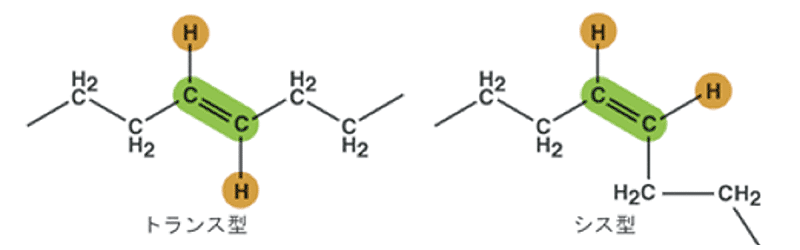 不飽和脂肪酸中の炭素−炭素　二重結合