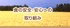 �H�̈��S�E���S�ւ̎��g��