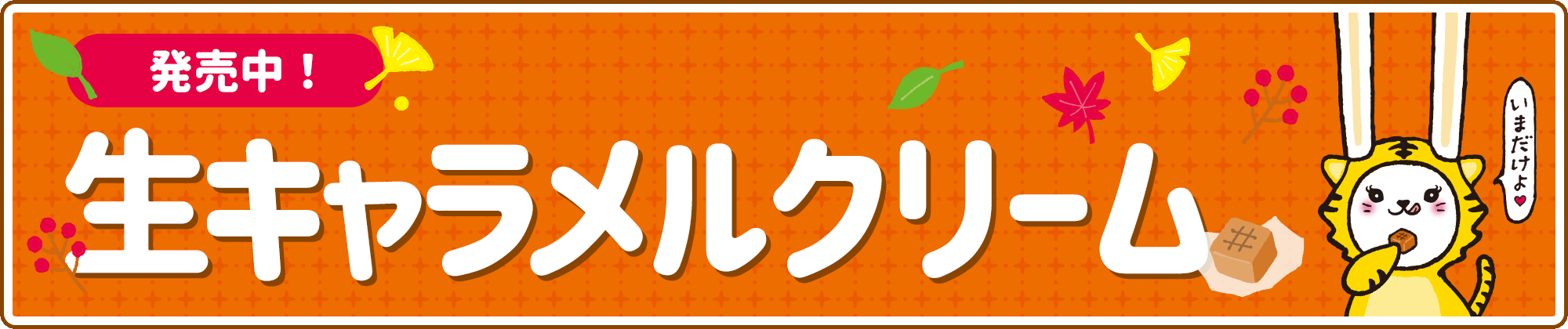 [ 16[ځ©2ch.net	->摜>53 