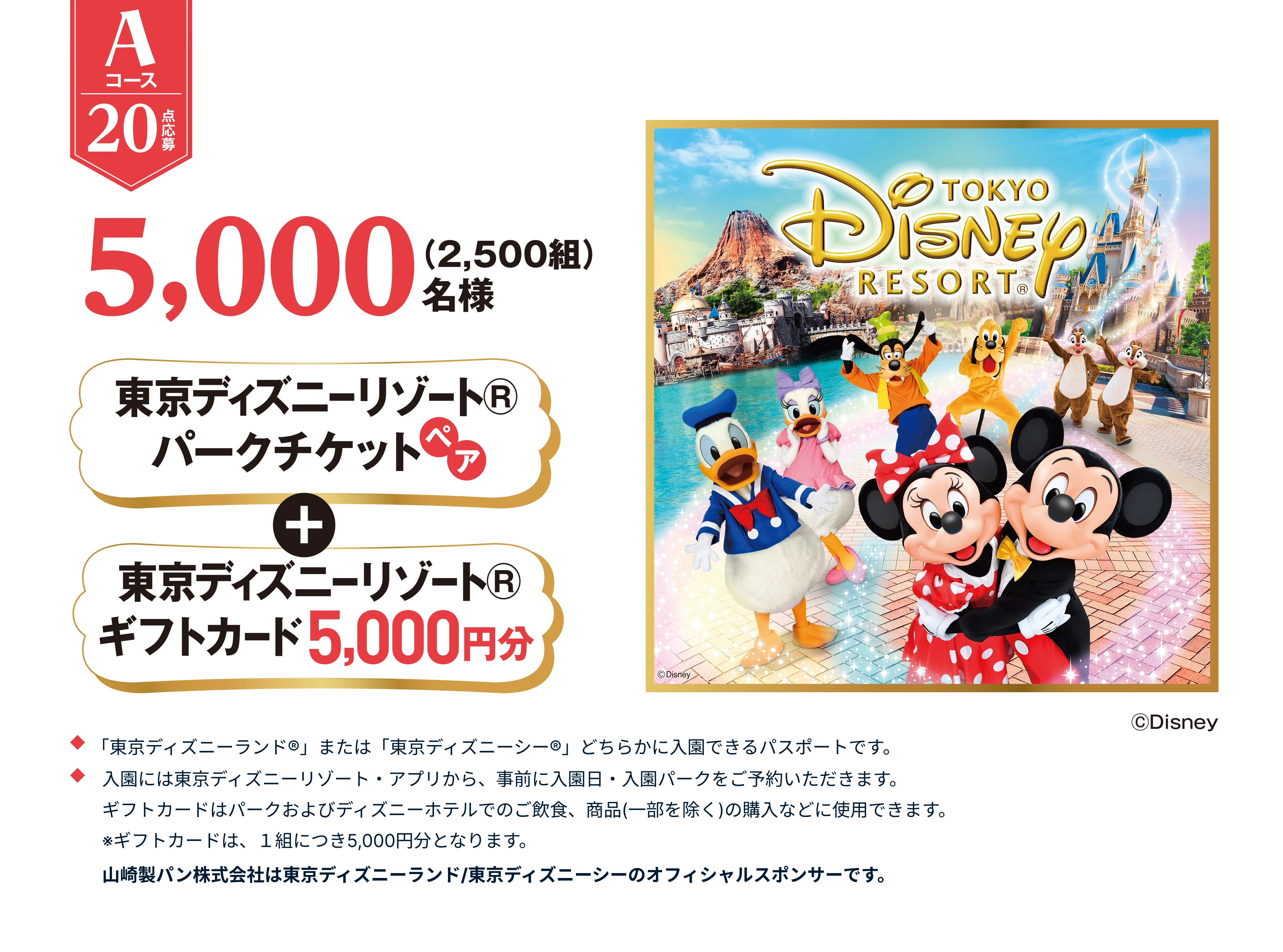 Aコース 20点応募 5,000名様(2,500組)東京ディズニーリゾートパークチケットペア+東京ディズニーリゾートギフトカード5,000円分