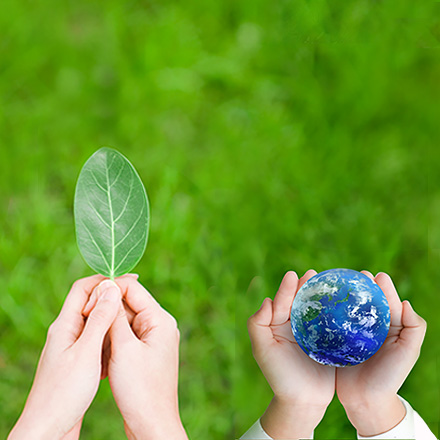 環境への取り組み