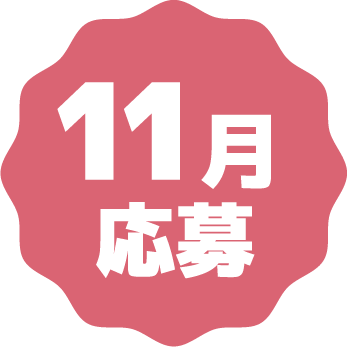 11月応募