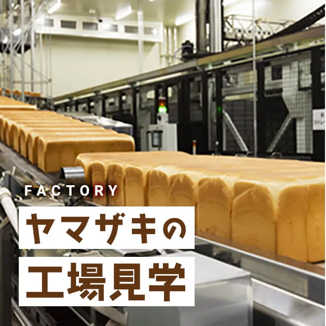 ヤマザキの工場見学