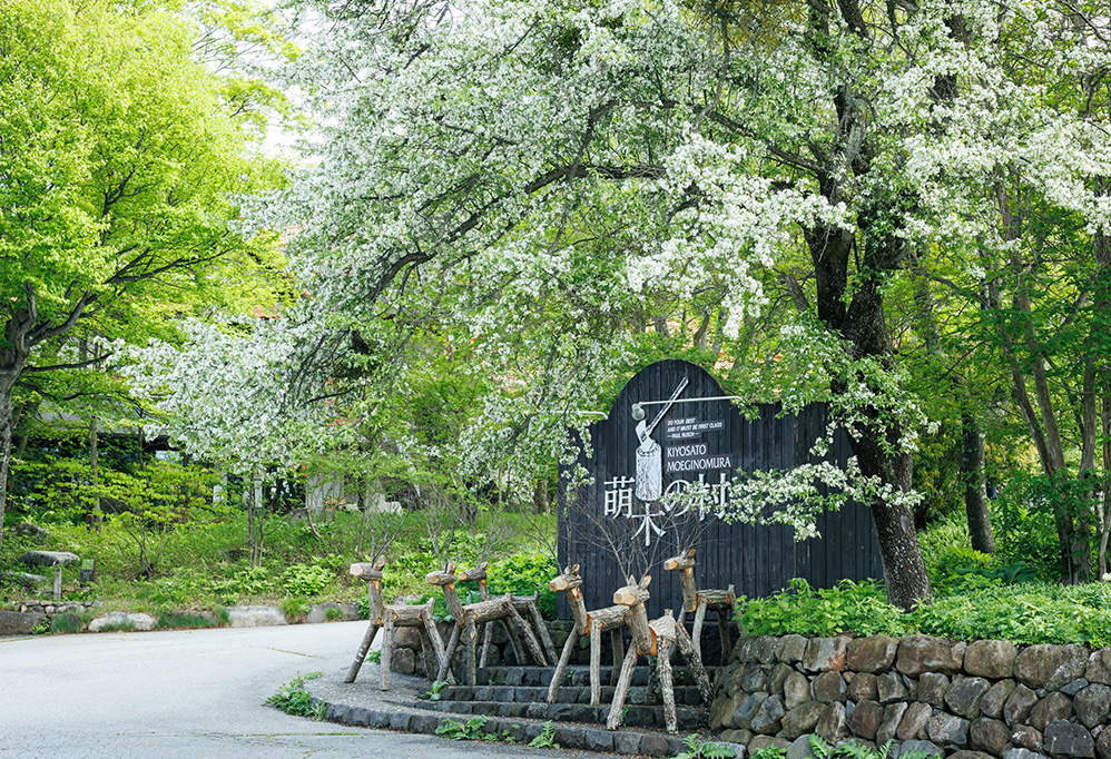 萌木の村