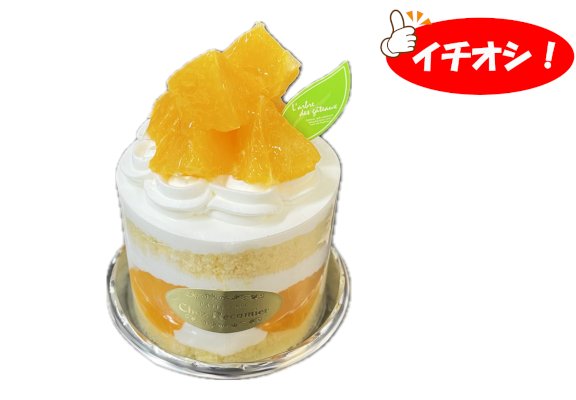 オレンジショートケーキ(清見オレンジ使用)