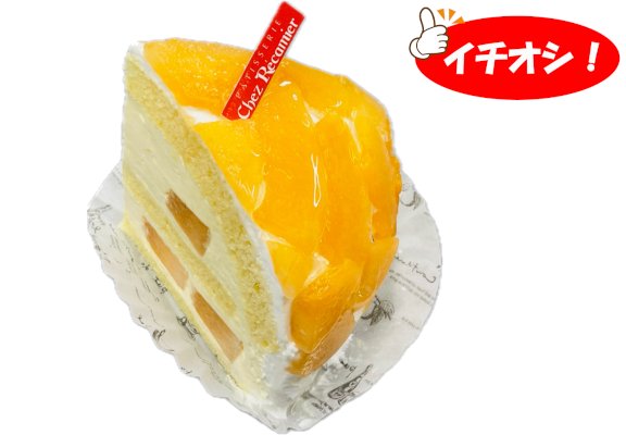 赤肉メロンのズコット